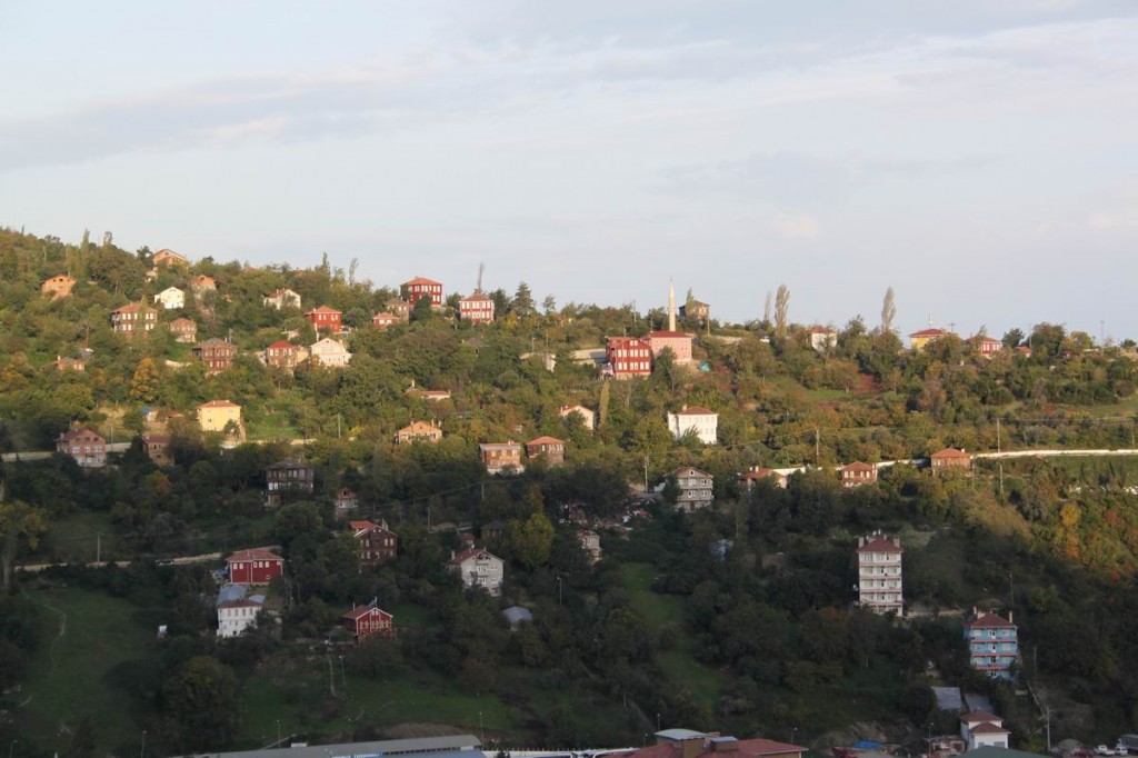 Resize of IMG_4567.JPG