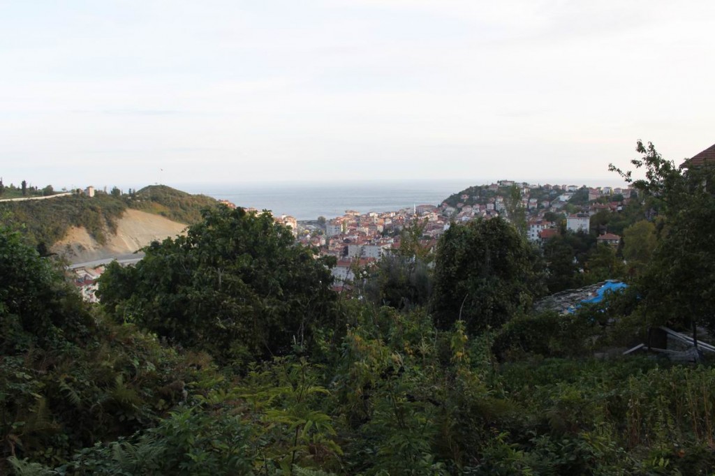 Resize of IMG_4569.JPG