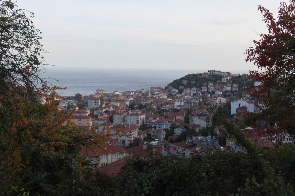 Resize of IMG_4570.JPG