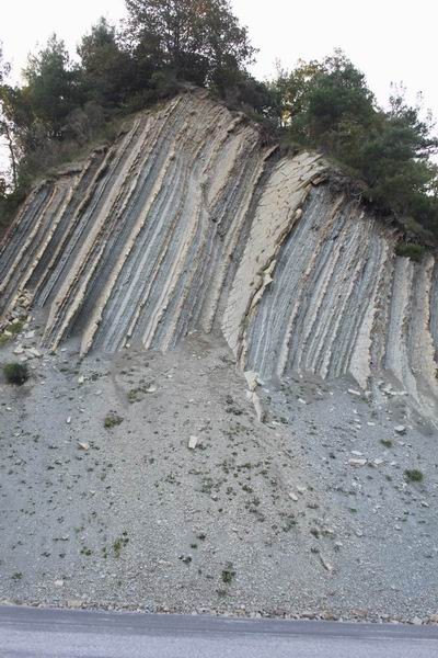 Resize of IMG_4575.JPG