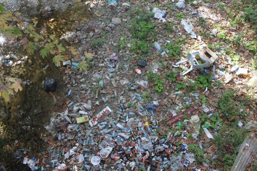 Resize of IMG_4588.JPG