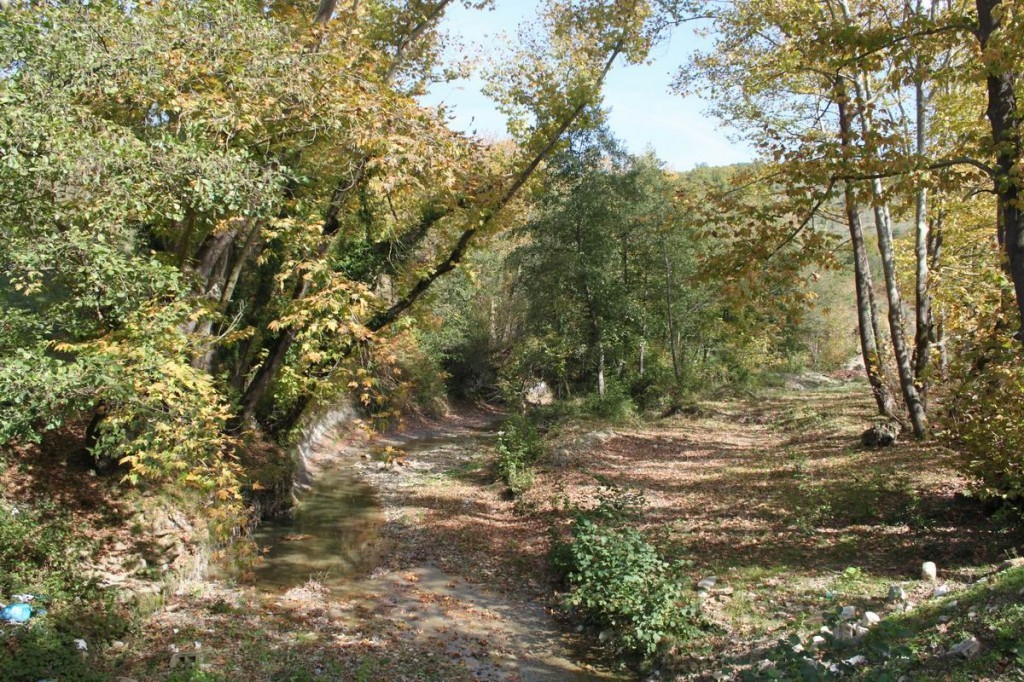 Resize of IMG_4589.JPG