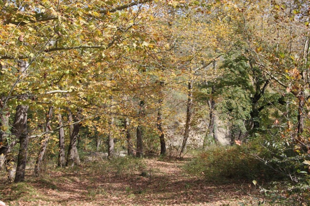 Resize of IMG_4595.JPG