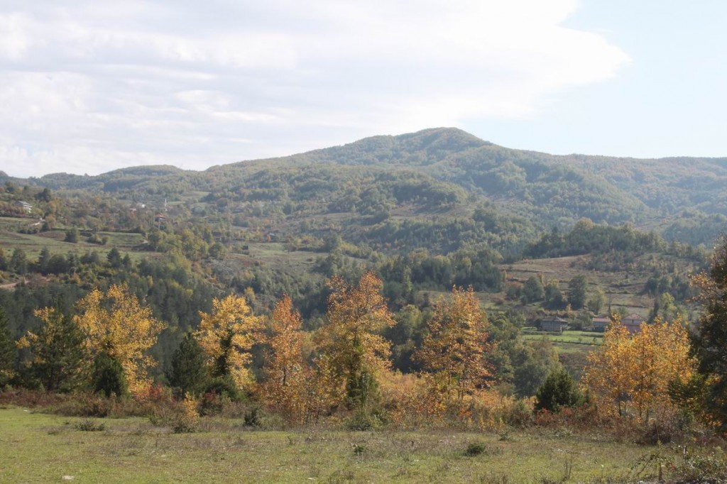 Resize of IMG_4597.JPG