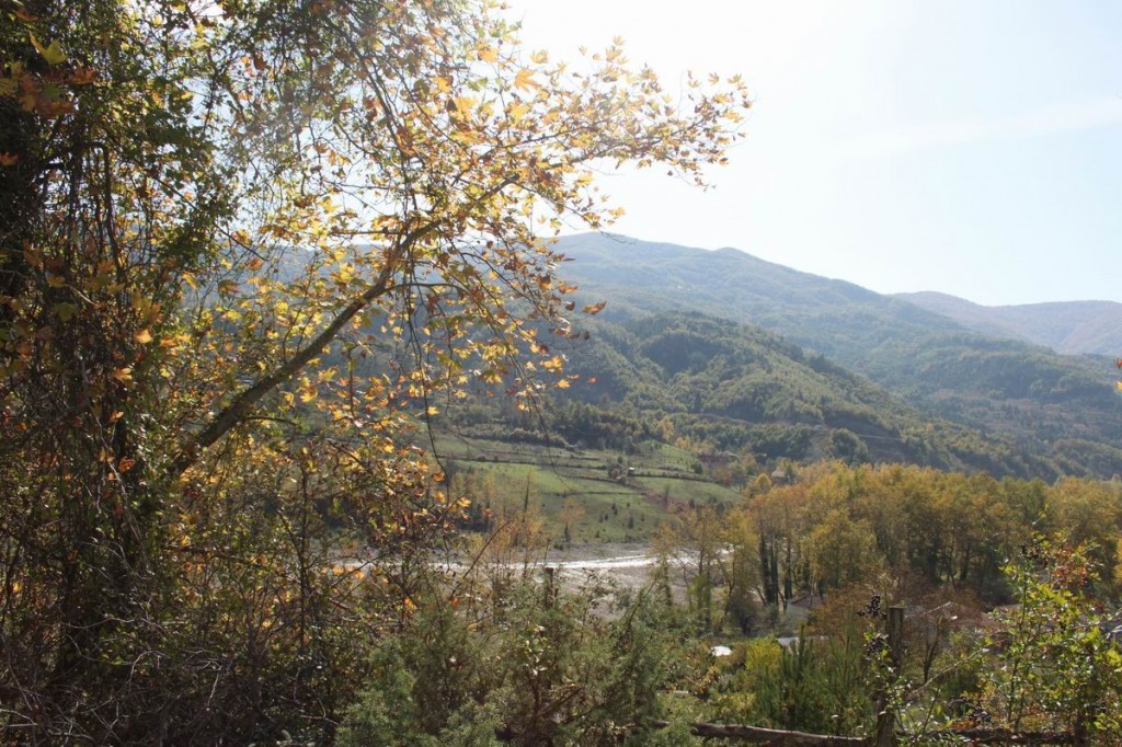 Resize of IMG_4600.JPG