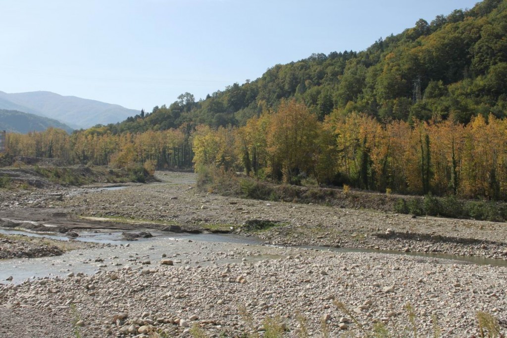 Resize of IMG_4605.JPG