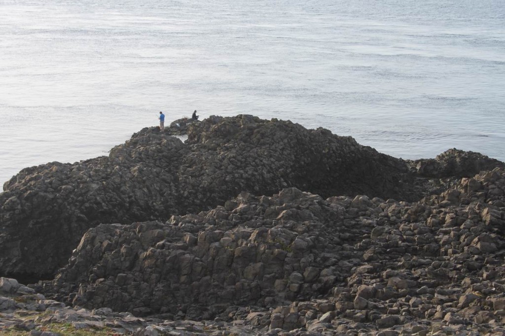 Resize of IMG_4651.JPG