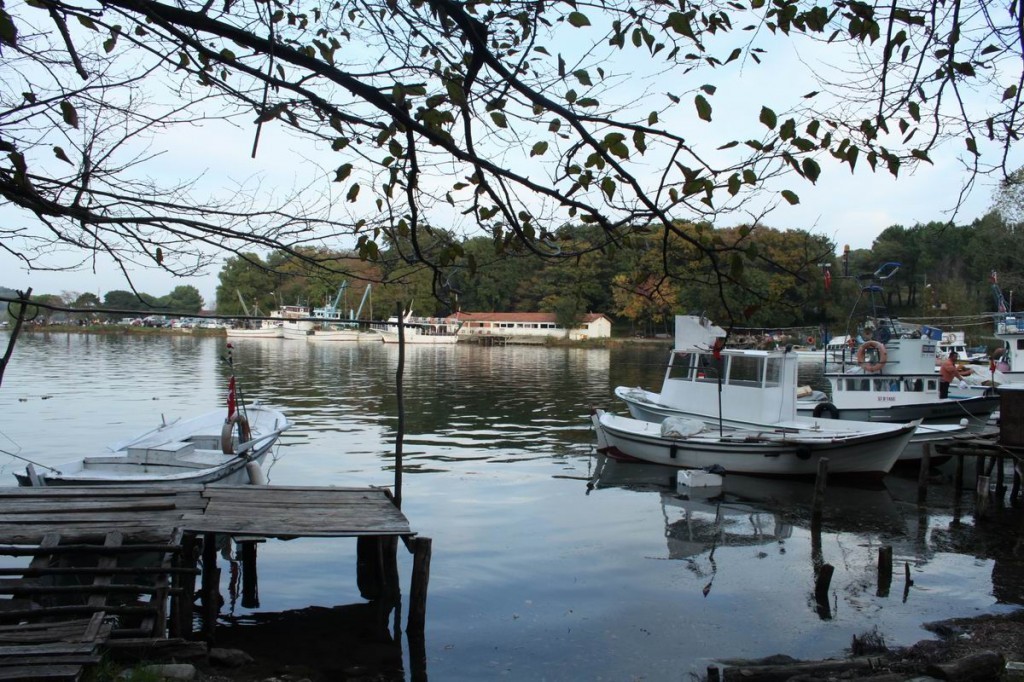 Resize of IMG_4675.JPG