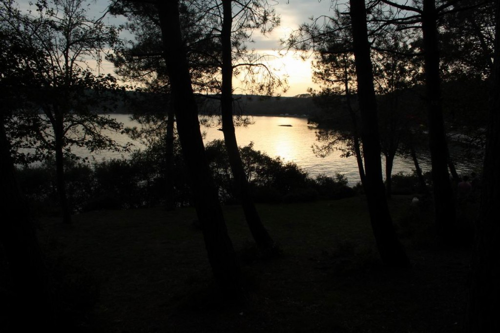 Resize of IMG_4684 - Kopya.JPG