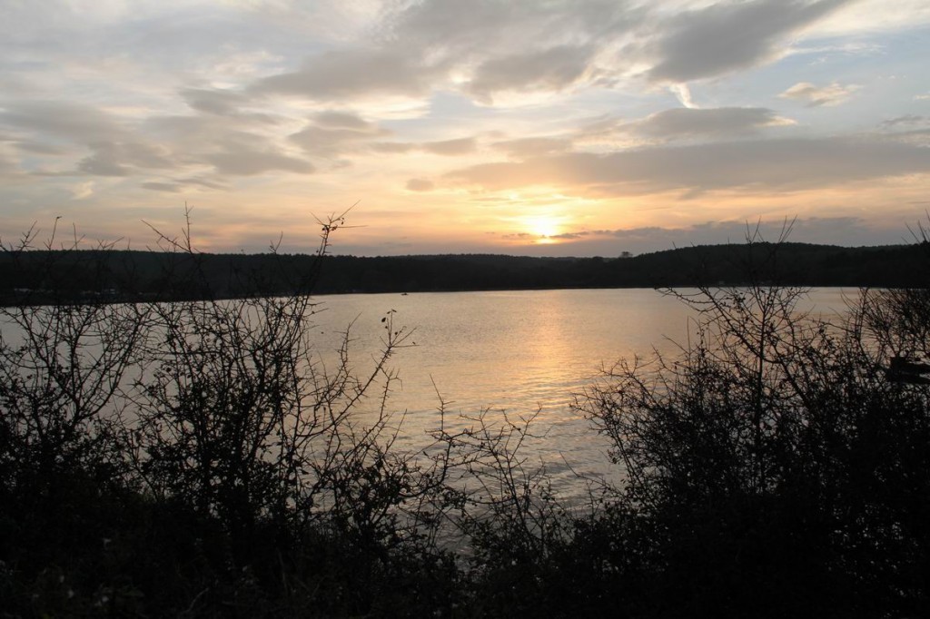 Resize of IMG_4743.JPG