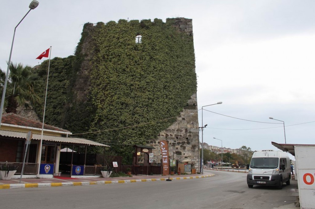 Resize of IMG_4807.JPG