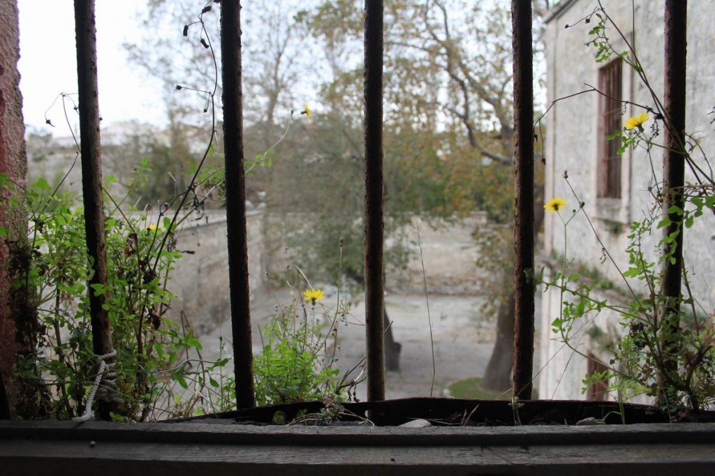 Resize of IMG_4944.JPG