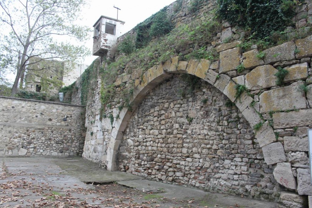 Resize of IMG_5003.JPG