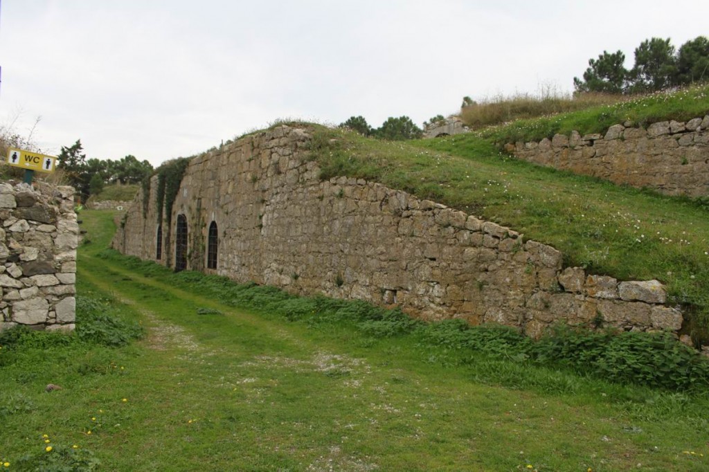 Resize of IMG_5019.JPG