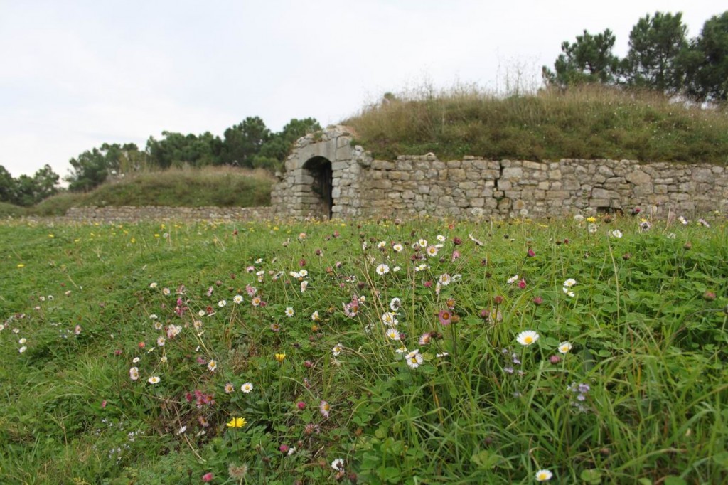 Resize of IMG_5020.JPG