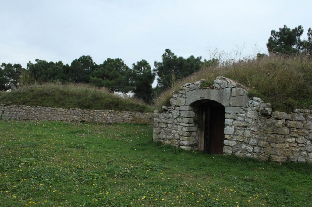 Resize of IMG_5023.JPG