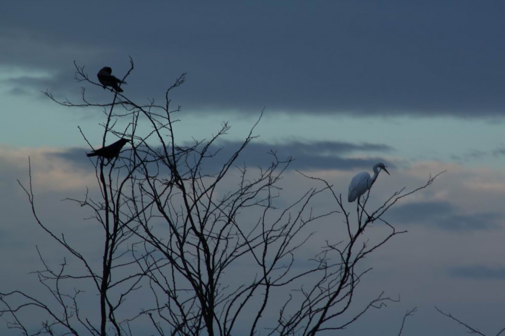 Resize of IMG_5096.JPG