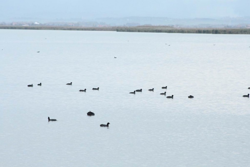 Resize of IMG_5122.JPG