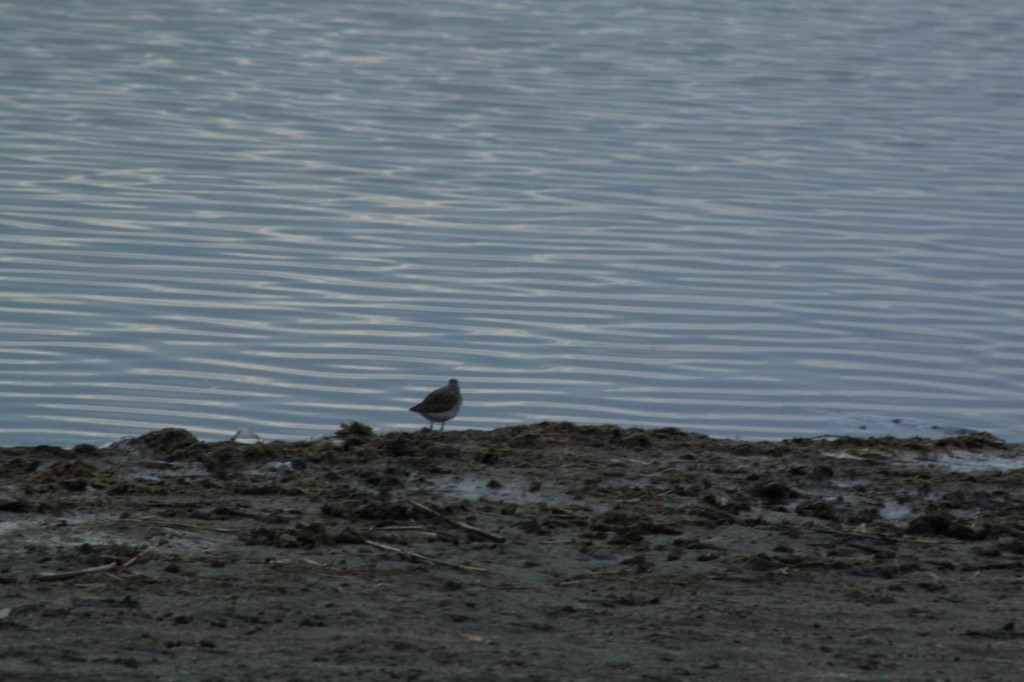 Resize of IMG_5126.JPG