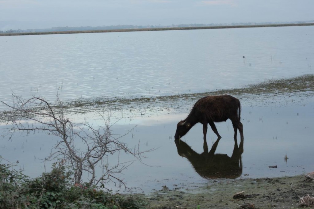 Resize of IMG_5130.JPG