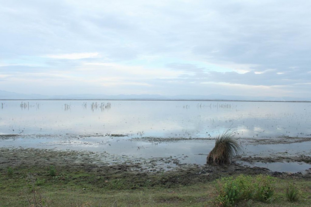 Resize of IMG_5136.JPG