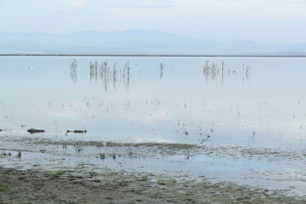 Resize of IMG_5138.JPG