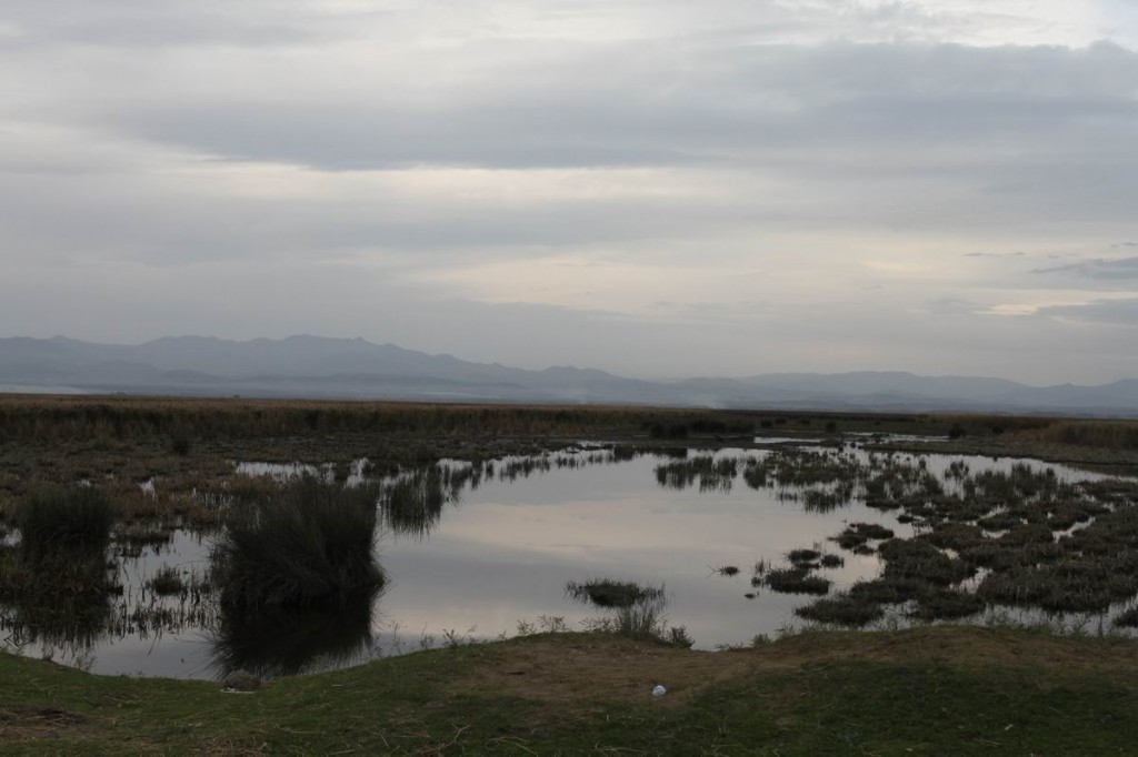 Resize of IMG_5140.JPG