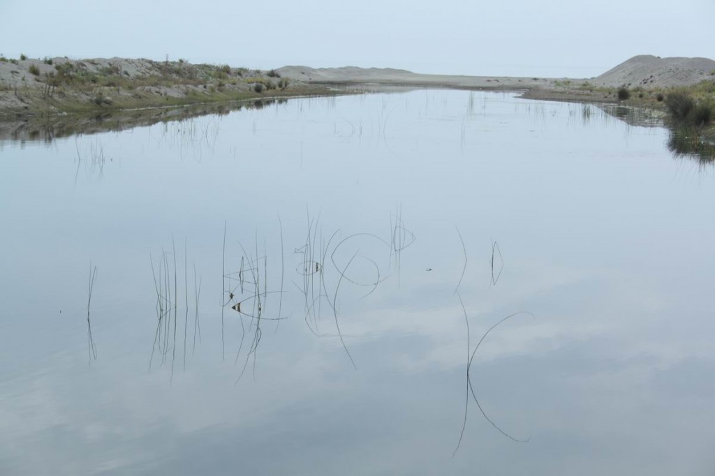 Resize of IMG_5148.JPG