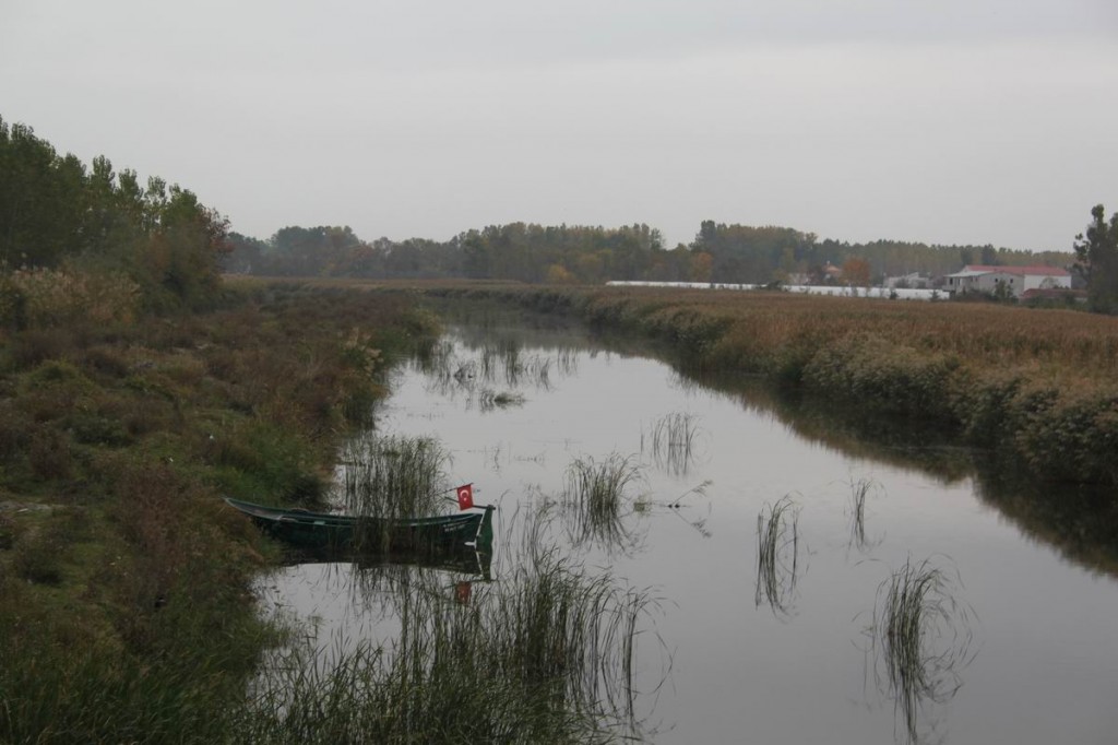 Resize of IMG_5159.JPG