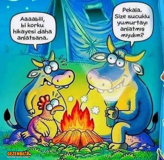 RIAvLXqG1hdSPU3U&_nc_zt=23&_nc_ht=scontent.fesb3-1.jpg