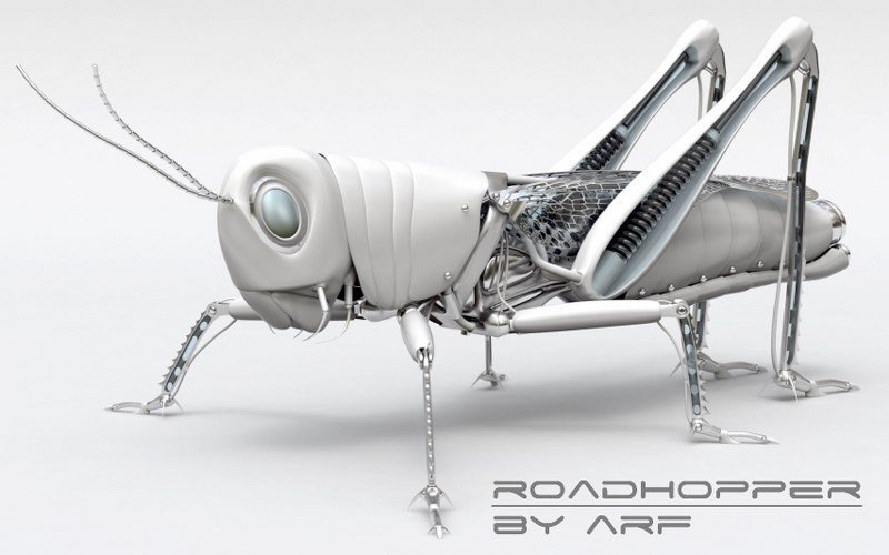 roadhopper_800x500.jpg