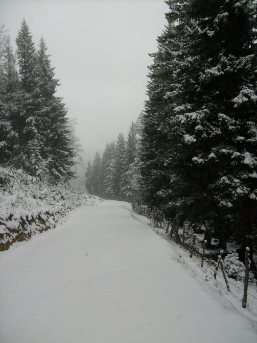 S6300942.jpg