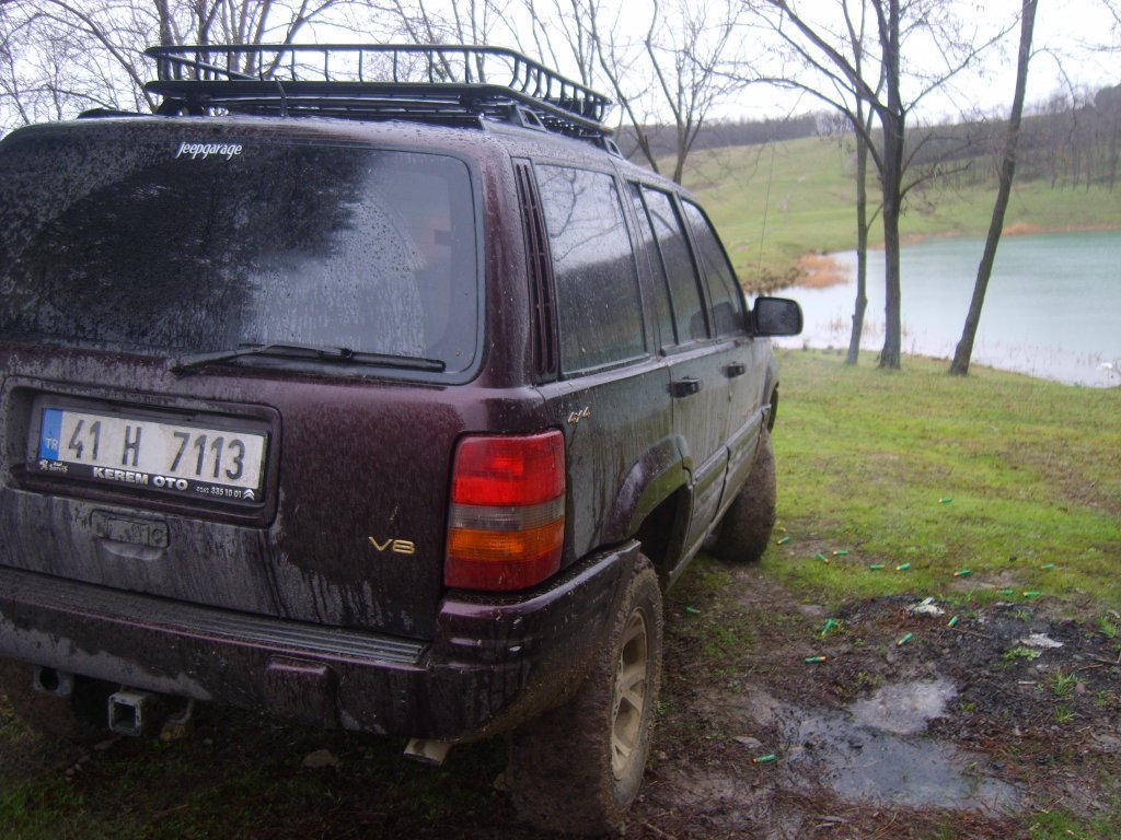 S8305338.jpg