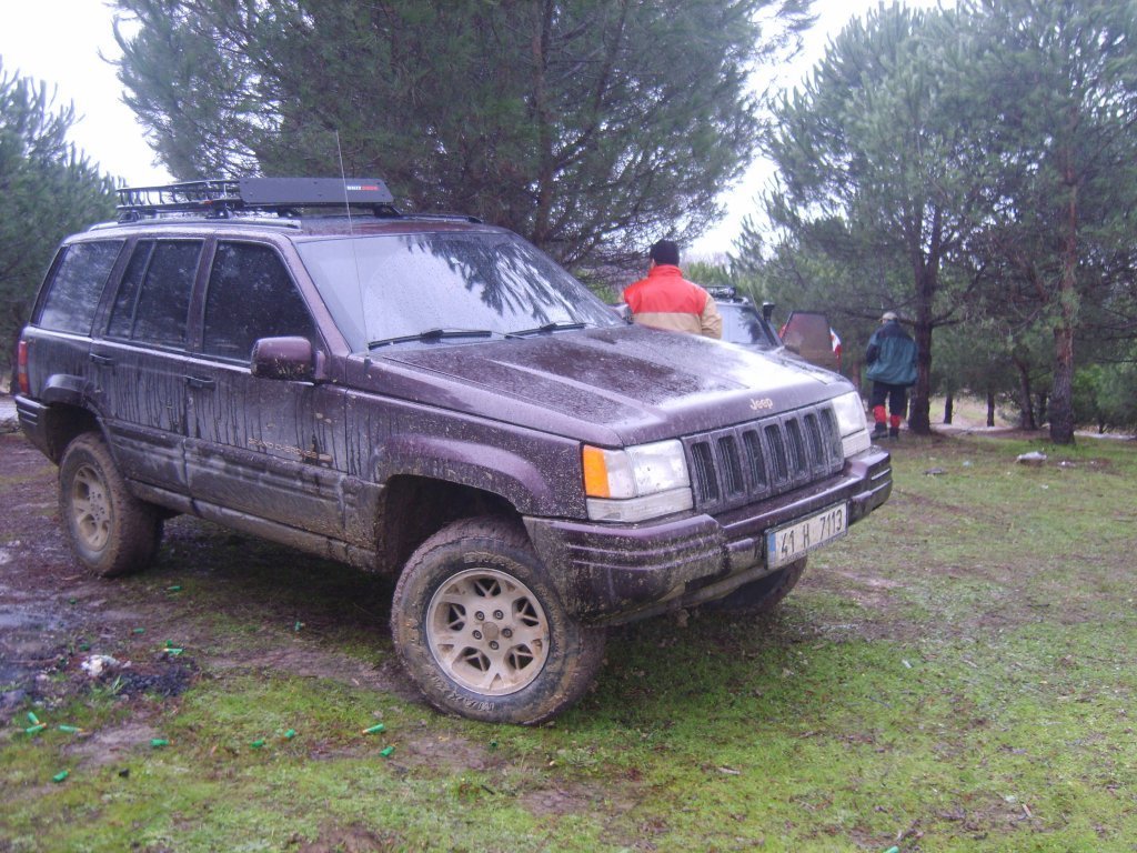 S8305339.jpg