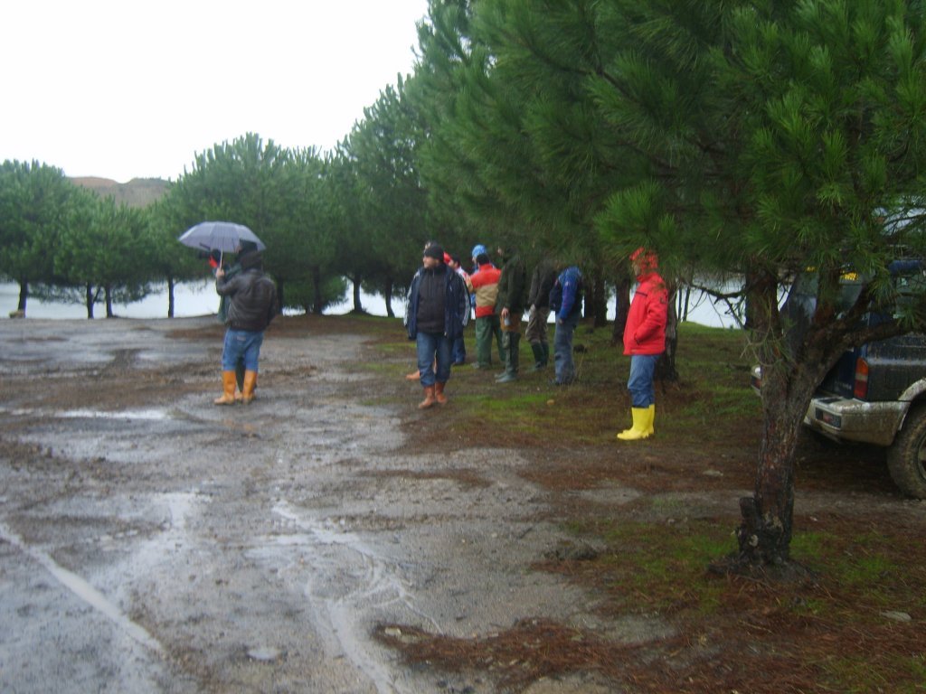 S8305346.jpg