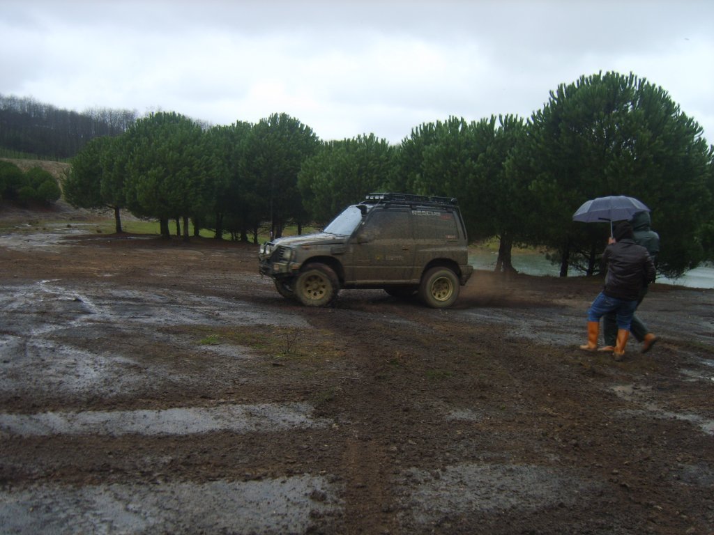 S8305350.jpg