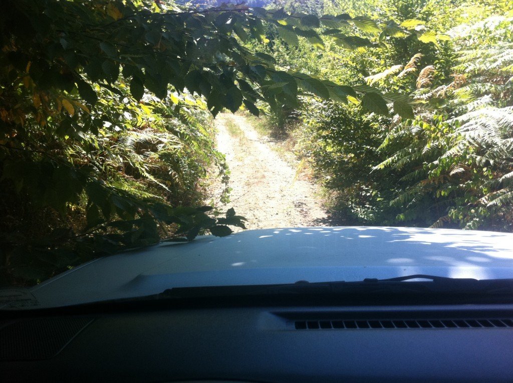 SAKARYA  ÃƒÂƒÃ‚Â„ÃƒÂ‚Ã‚Â°LÃƒÂƒÃ‚Â„ÃƒÂ‚Ã‚Â°MBEY KÃƒÂƒÃ‚ÂƒÃƒÂ‚Ã‚Â–YÃƒÂƒÃ‚ÂƒÃƒÂ‚Ã‚Âœ 002.jpg