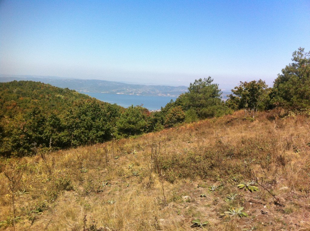 SAKARYA  ÃƒÂƒÃ‚Â„ÃƒÂ‚Ã‚Â°LÃƒÂƒÃ‚Â„ÃƒÂ‚Ã‚Â°MBEY KÃƒÂƒÃ‚ÂƒÃƒÂ‚Ã‚Â–YÃƒÂƒÃ‚ÂƒÃƒÂ‚Ã‚Âœ 005.jpg