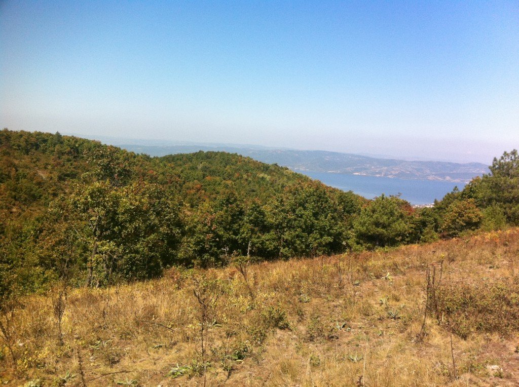 SAKARYA  ÃƒÂƒÃ‚Â„ÃƒÂ‚Ã‚Â°LÃƒÂƒÃ‚Â„ÃƒÂ‚Ã‚Â°MBEY KÃƒÂƒÃ‚ÂƒÃƒÂ‚Ã‚Â–YÃƒÂƒÃ‚ÂƒÃƒÂ‚Ã‚Âœ 006.jpg