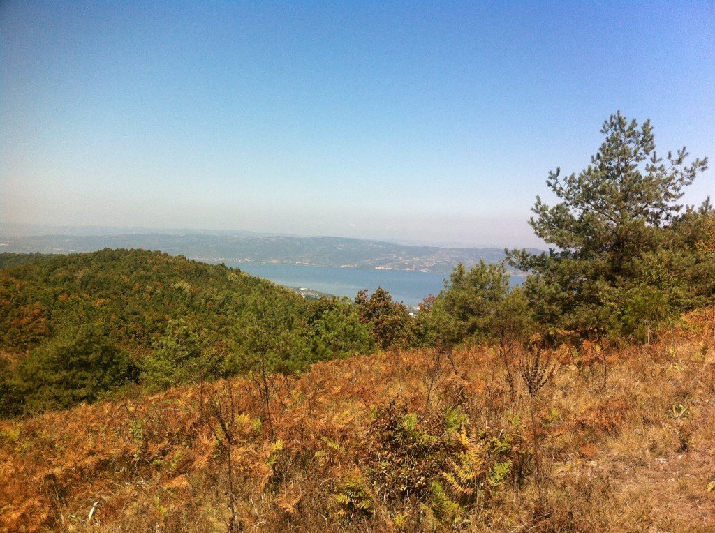 SAKARYA  ÃƒÂƒÃ‚Â„ÃƒÂ‚Ã‚Â°LÃƒÂƒÃ‚Â„ÃƒÂ‚Ã‚Â°MBEY KÃƒÂƒÃ‚ÂƒÃƒÂ‚Ã‚Â–YÃƒÂƒÃ‚ÂƒÃƒÂ‚Ã‚Âœ 010.jpg