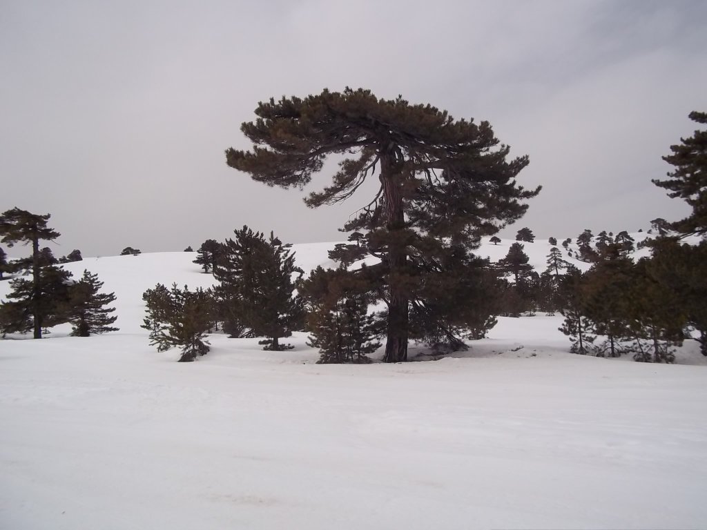 Salda Kayak Merkezi 021.jpg