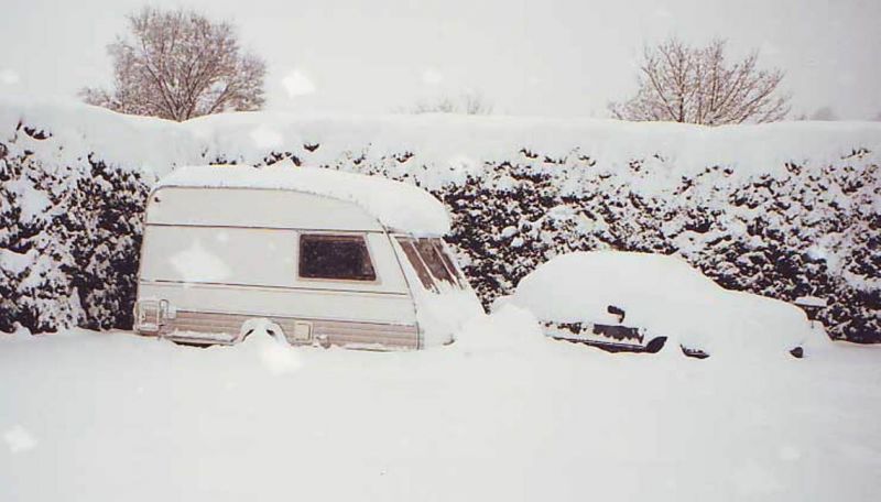 sally_2_in_winter.jpg