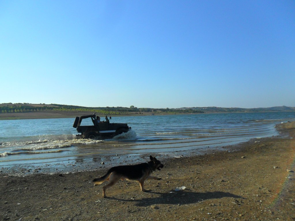 SAM_0793.jpg