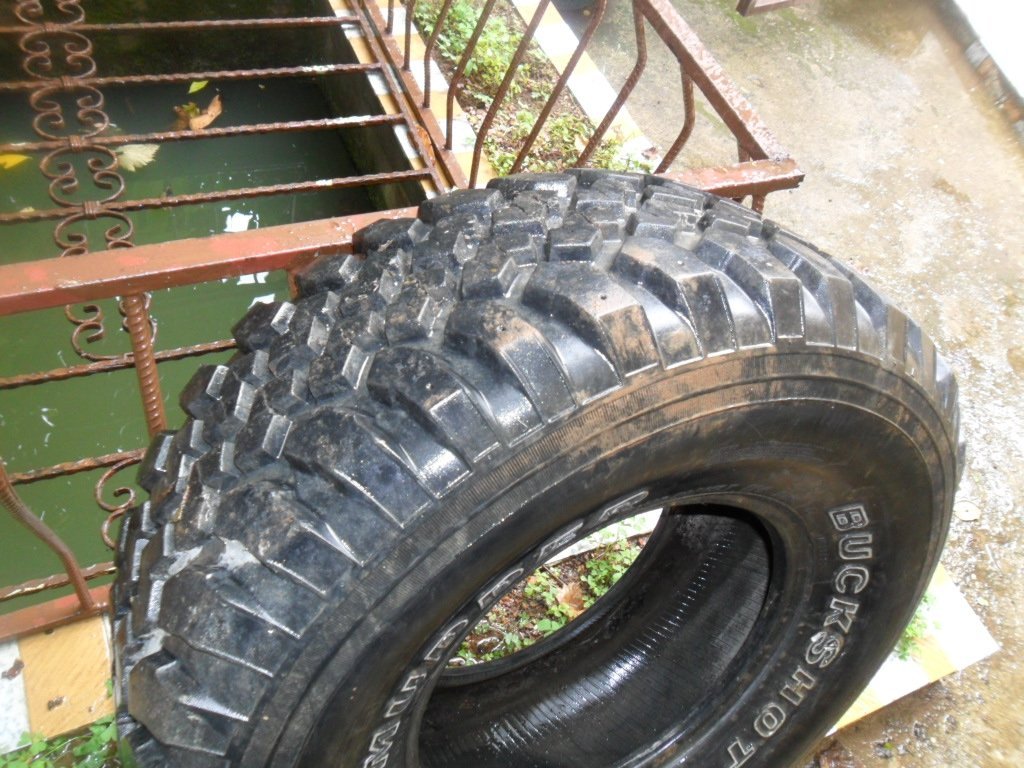 SAM_1495.JPG