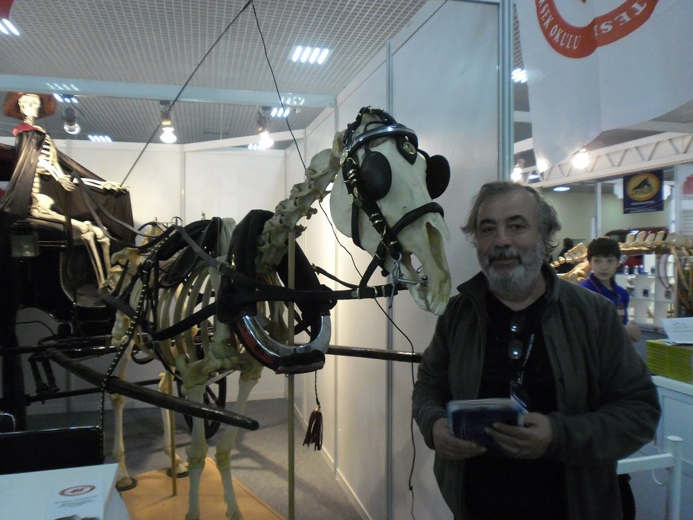 SAM_2273.JPG SAM_2273.JPG