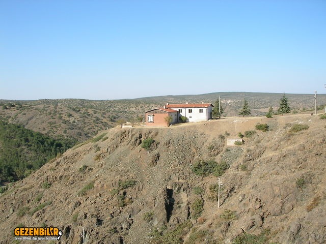 SANY0042.jpg