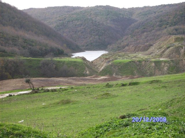 SANY0297.jpg