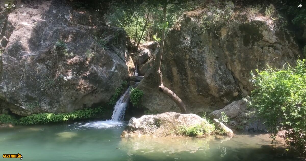 Screen Shot 2019-06-26 at 10.20.20.jpg