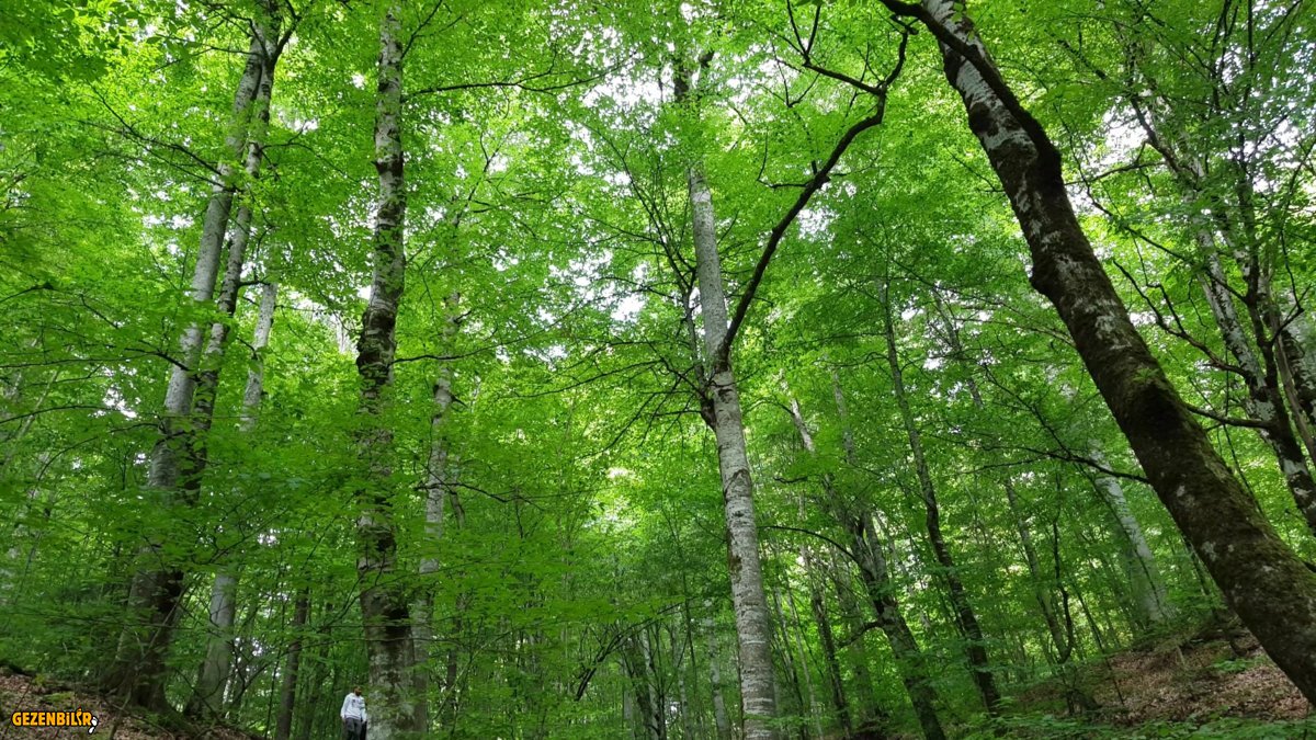 Screenshot_20190314-141736_Video Player.jpg