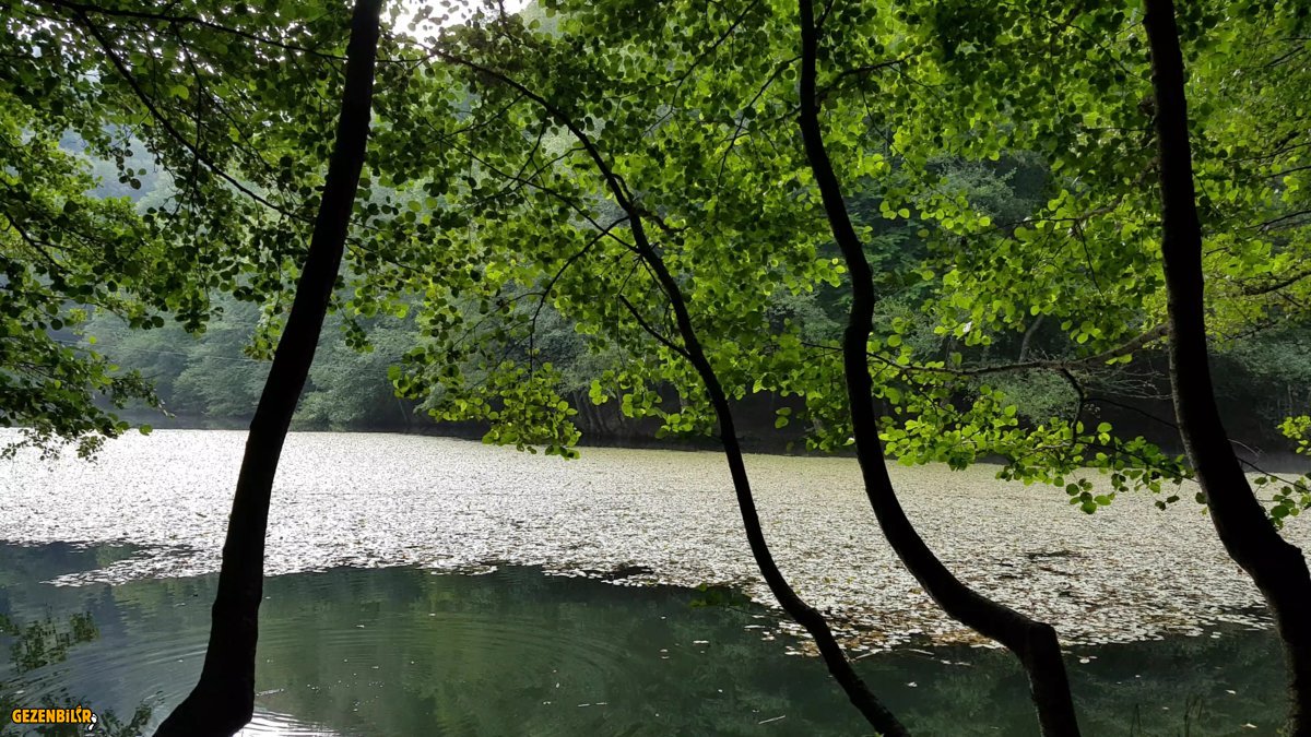 Screenshot_20190314-142128_Video Player.jpg